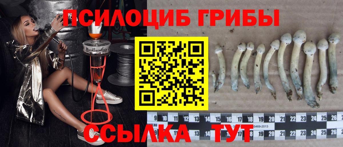 Псилоцибиновые грибы мухоморы Дубна