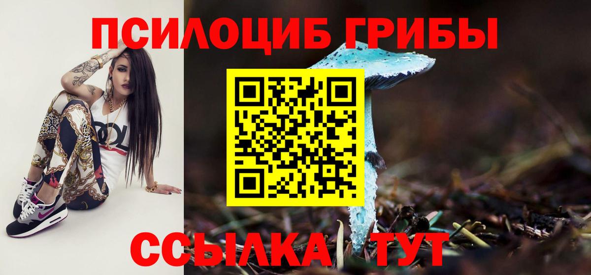 Галлюциногенные грибы мицелий  Вход с VPN  купить наркоту  Дубна 